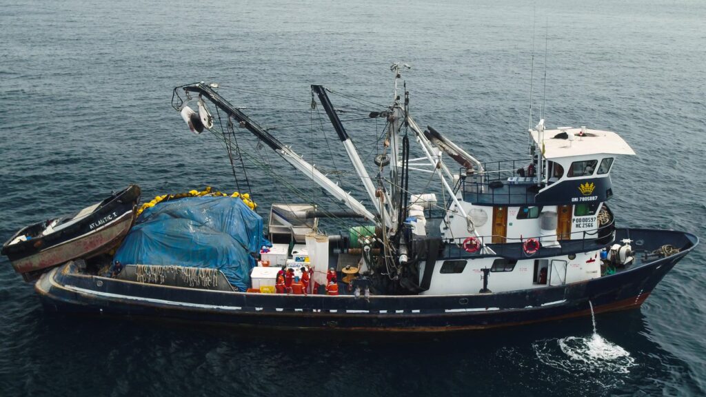 Los barcos atuneros aprovechan este tiempo para realizar reparaciones y trabajos de mantenimiento.