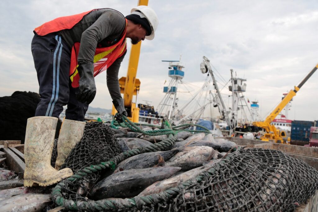 pesca ecuador